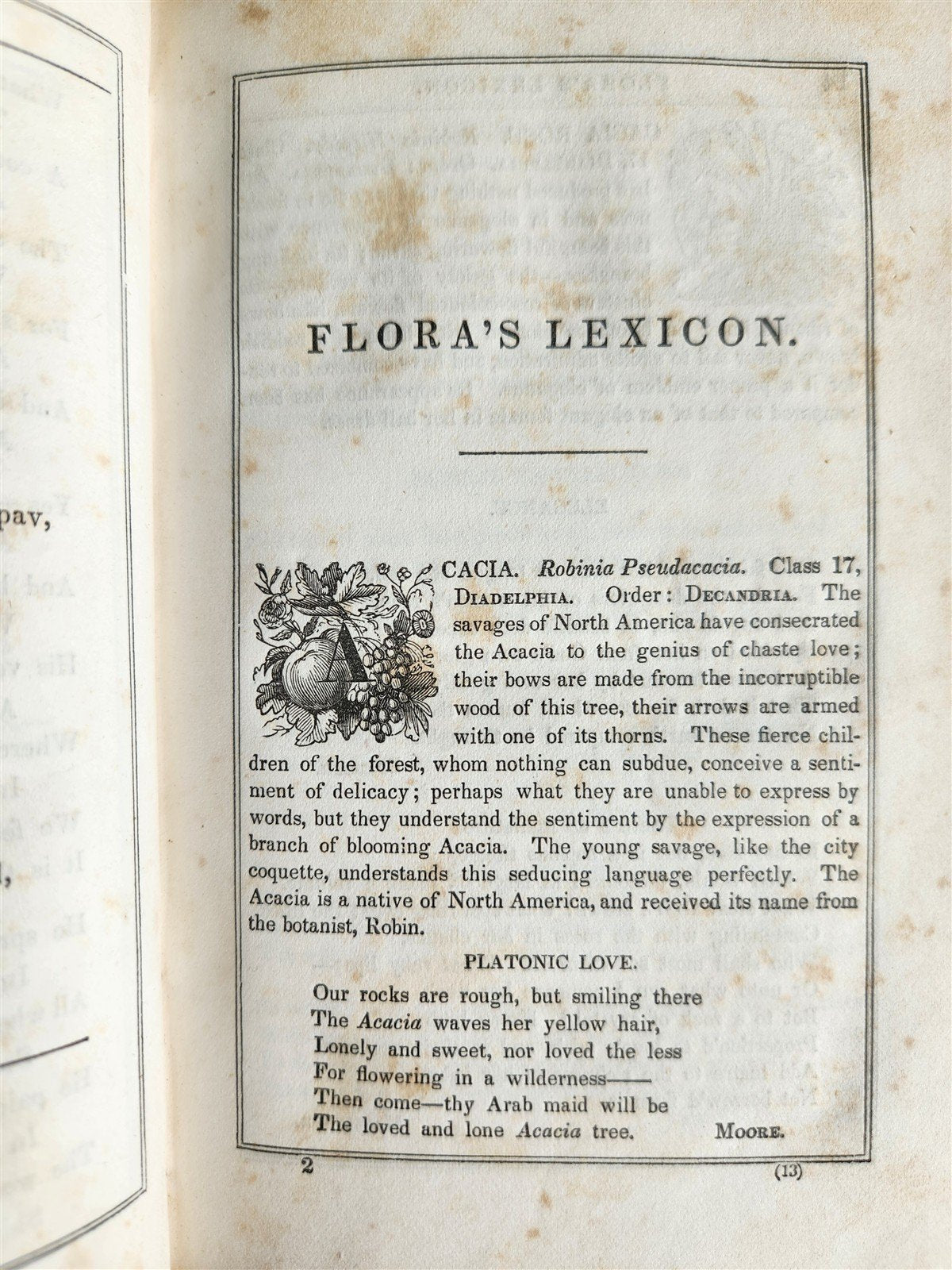 1840 FLORA'S LEXICON LANGUAGE and SENTIMENT of FLOWERS antique ILLUSTRATED