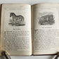 1850s CHILDREN'S PICTURE BOOK ILLUSTRATED antique AMERICANA