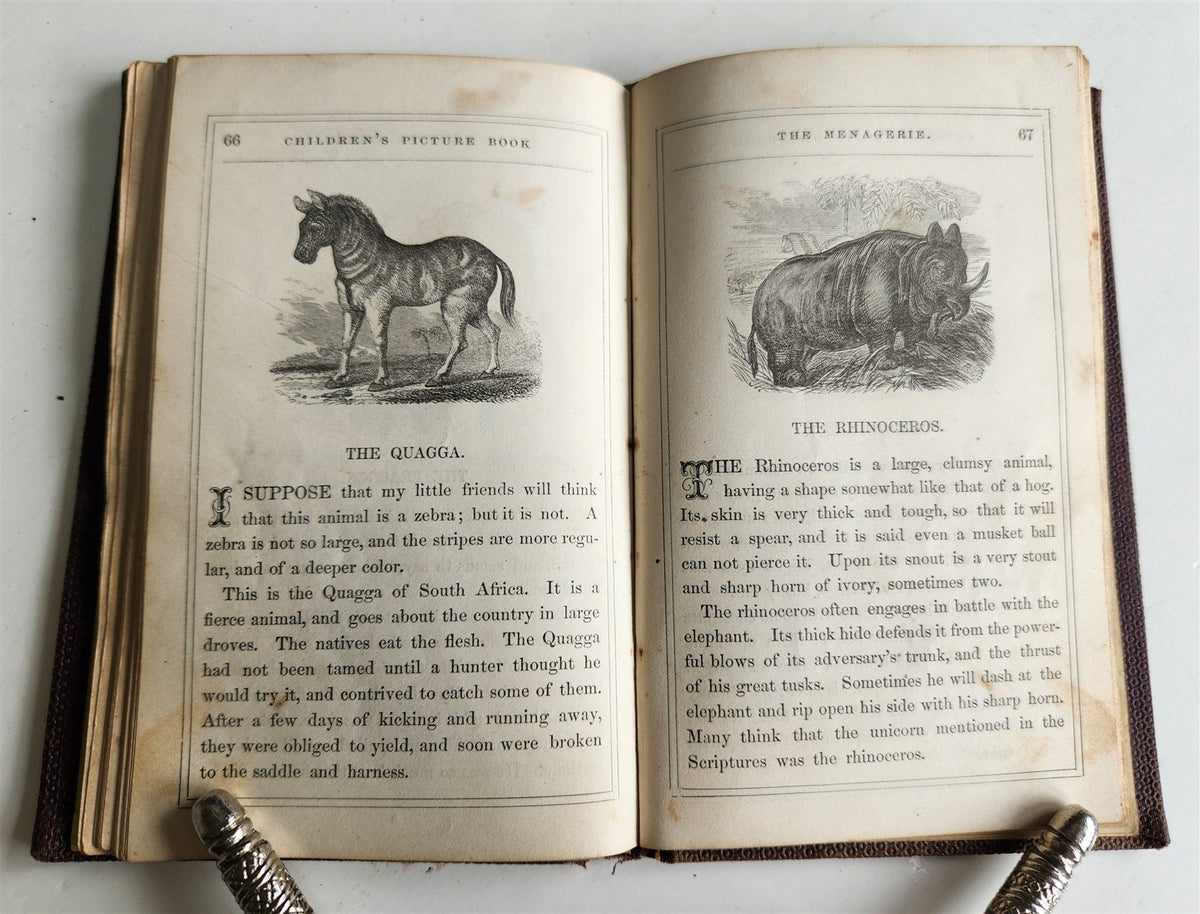 1850s CHILDREN'S PICTURE BOOK ILLUSTRATED antique AMERICANA