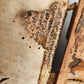 1516 POST-INCUNABULA BIBLE COMMENTARIES by ST. AMBROSE antique