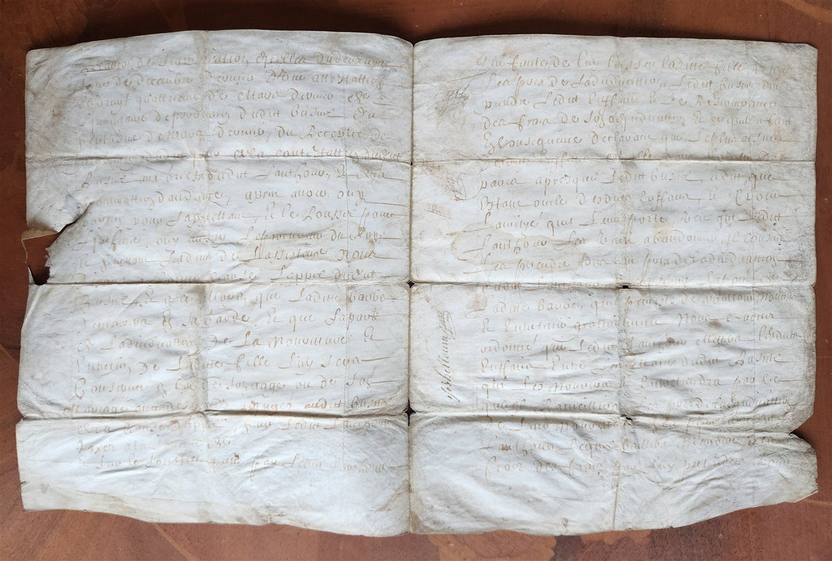 1671 MANUSCRIPT LAW DOCUMENT on VELLUM in FRENCH LANGUAGE antique