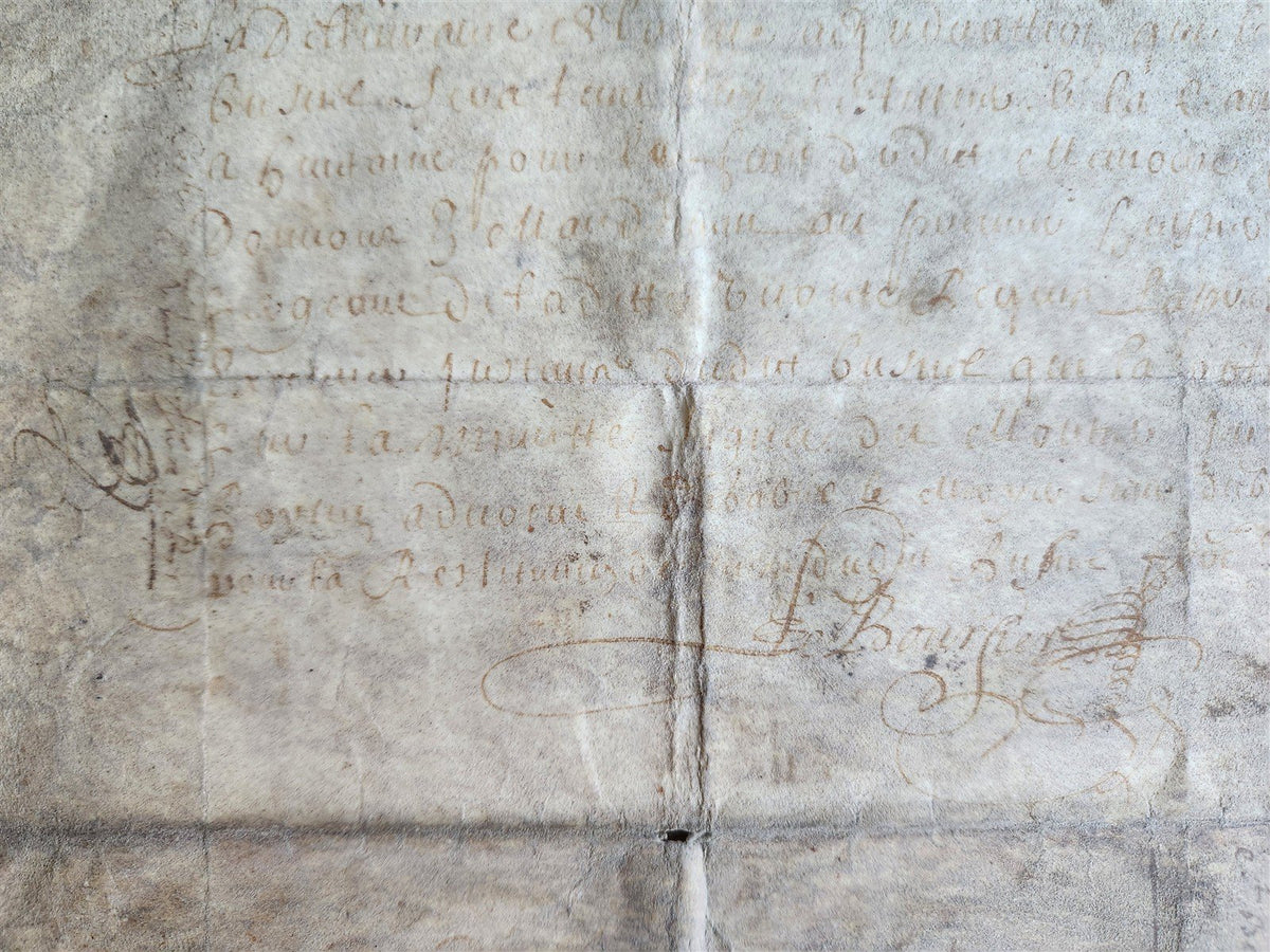 1671 MANUSCRIPT LAW DOCUMENT on VELLUM in FRENCH LANGUAGE antique