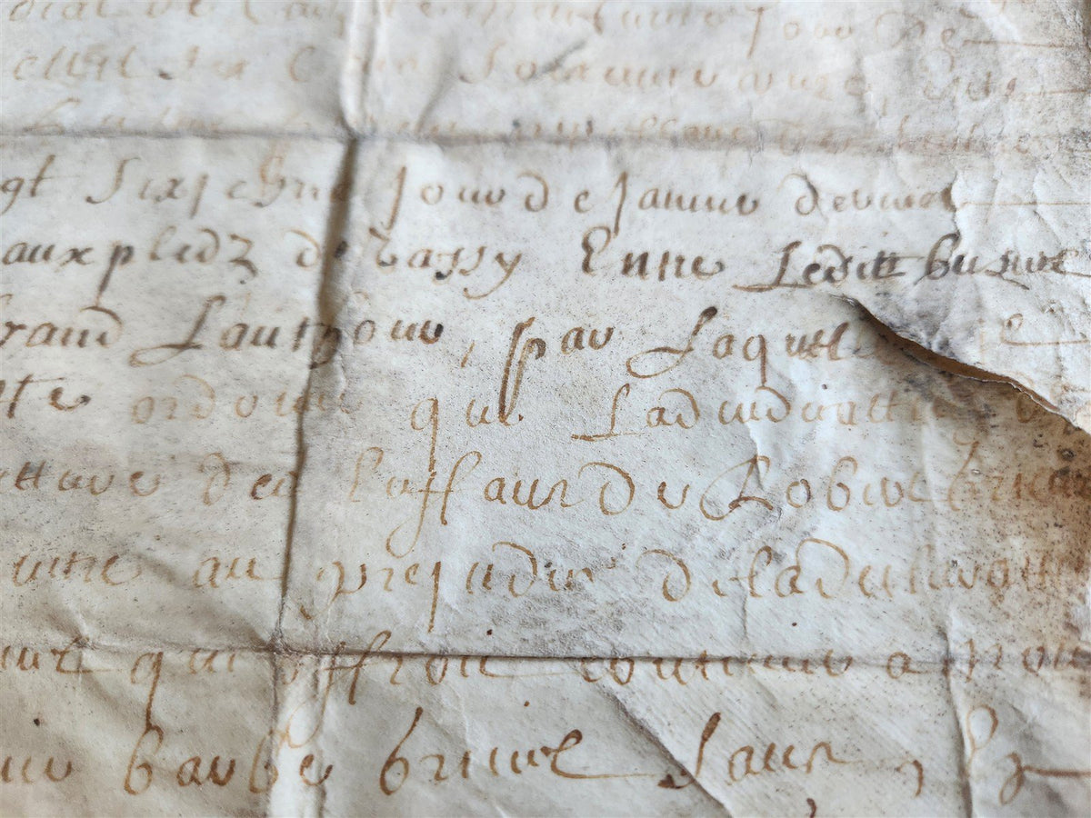 1671 MANUSCRIPT LAW DOCUMENT on VELLUM in FRENCH LANGUAGE antique
