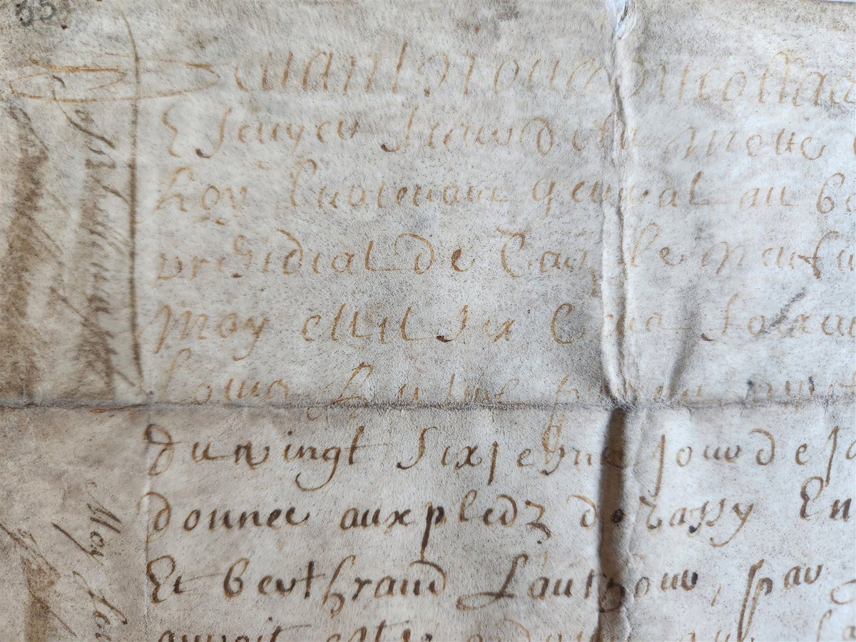 1671 MANUSCRIPT LAW DOCUMENT on VELLUM in FRENCH LANGUAGE antique