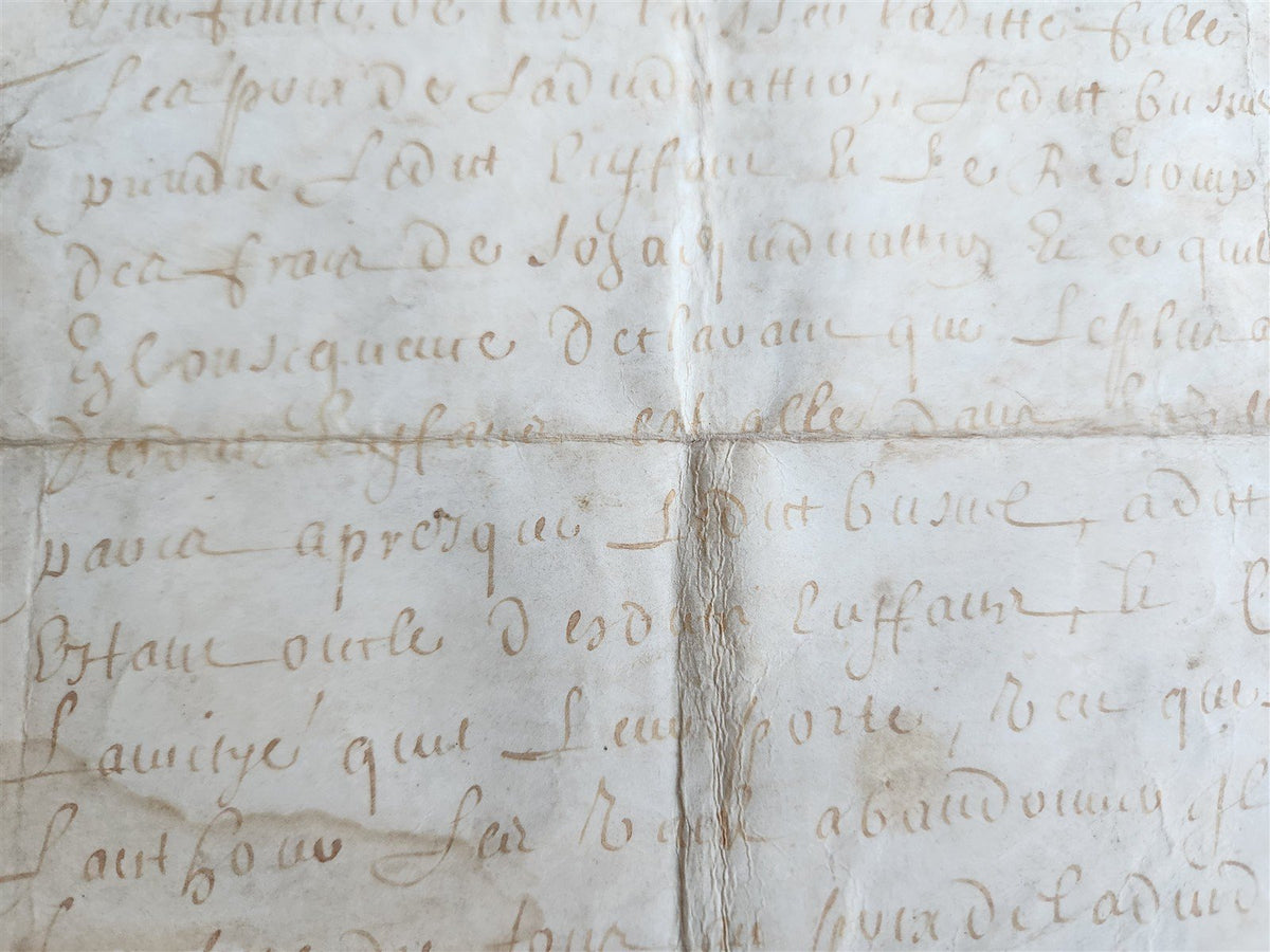 1671 MANUSCRIPT LAW DOCUMENT on VELLUM in FRENCH LANGUAGE antique