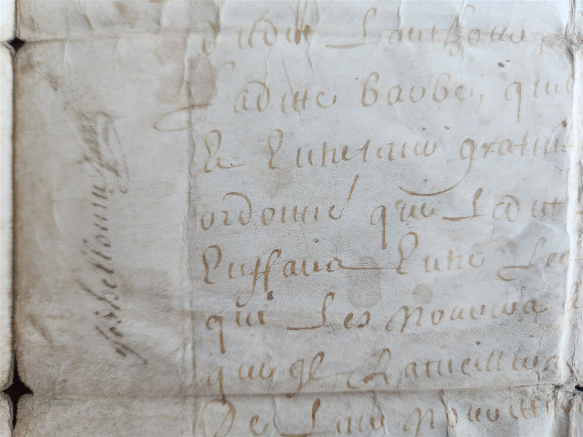 1671 MANUSCRIPT LAW DOCUMENT on VELLUM in FRENCH LANGUAGE antique