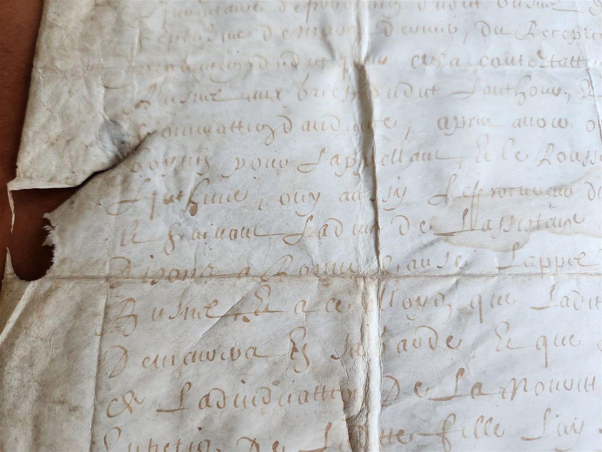 1671 MANUSCRIPT LAW DOCUMENT on VELLUM in FRENCH LANGUAGE antique