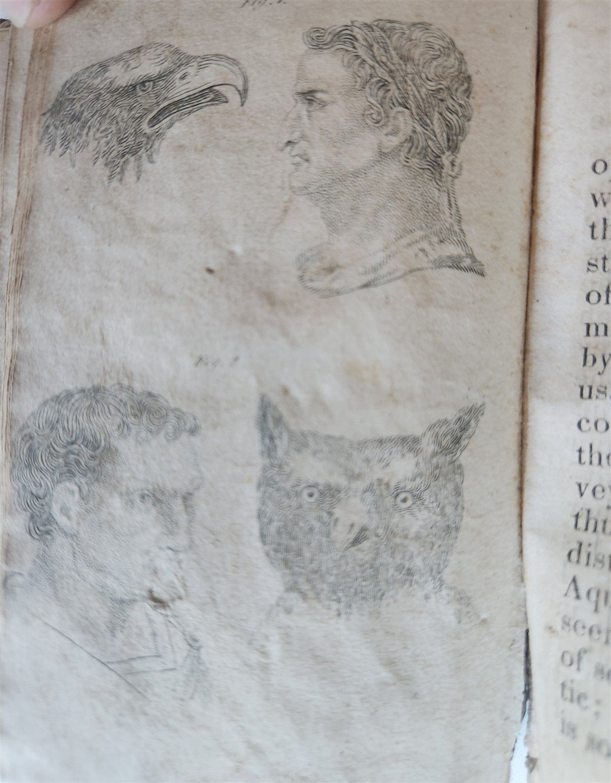 1829 POCKET LAVATER SCIENCE of PHYSIOGNOMY ILLUSTRATED antique AMERICAN EDITION