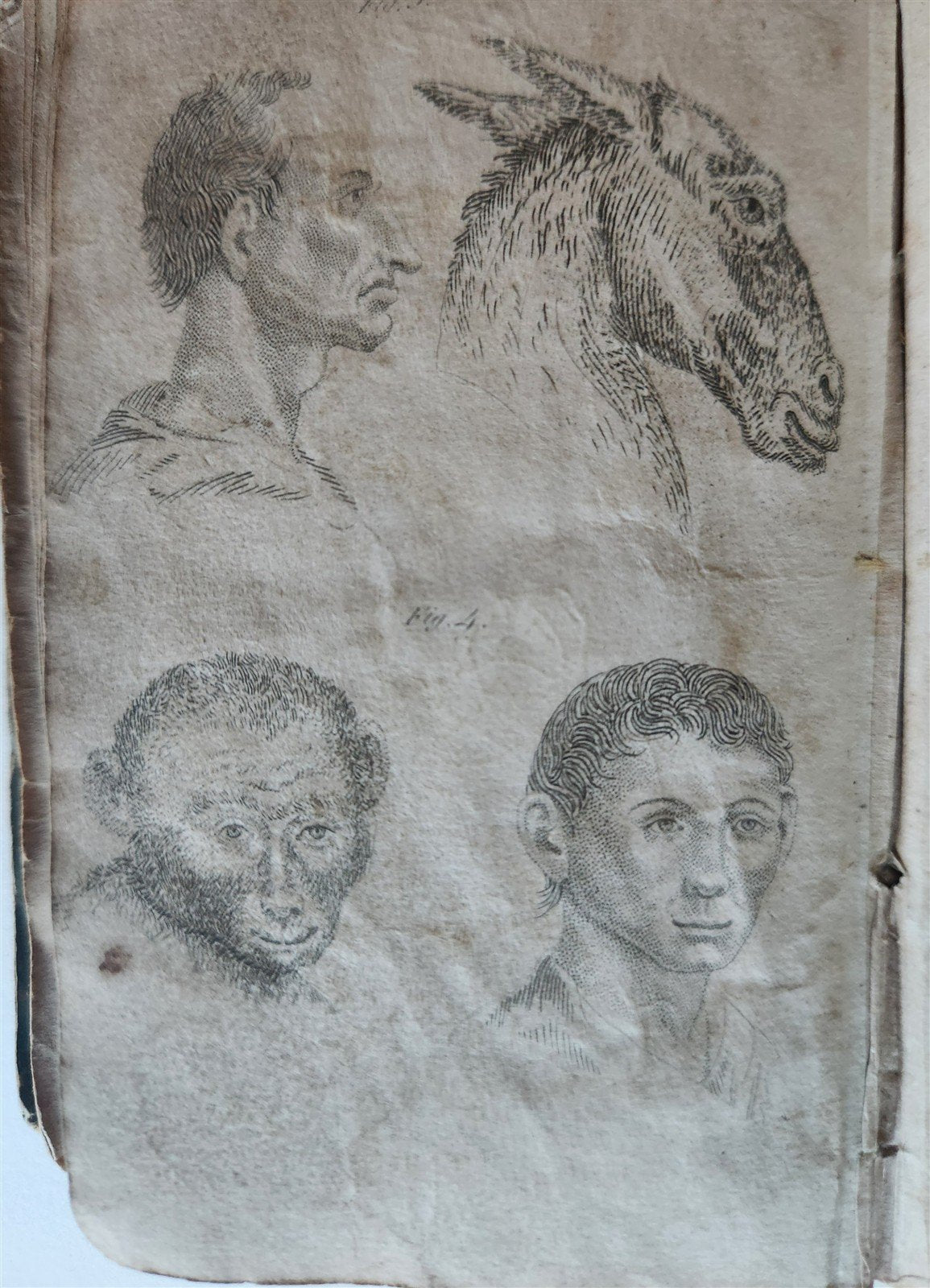 1829 POCKET LAVATER SCIENCE of PHYSIOGNOMY ILLUSTRATED antique AMERICAN EDITION