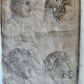 1829 POCKET LAVATER SCIENCE of PHYSIOGNOMY ILLUSTRATED antique AMERICAN EDITION