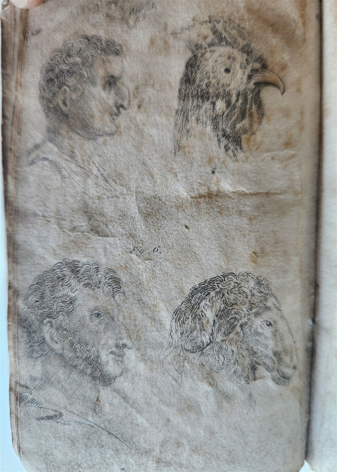 1829 POCKET LAVATER SCIENCE of PHYSIOGNOMY ILLUSTRATED antique AMERICAN EDITION