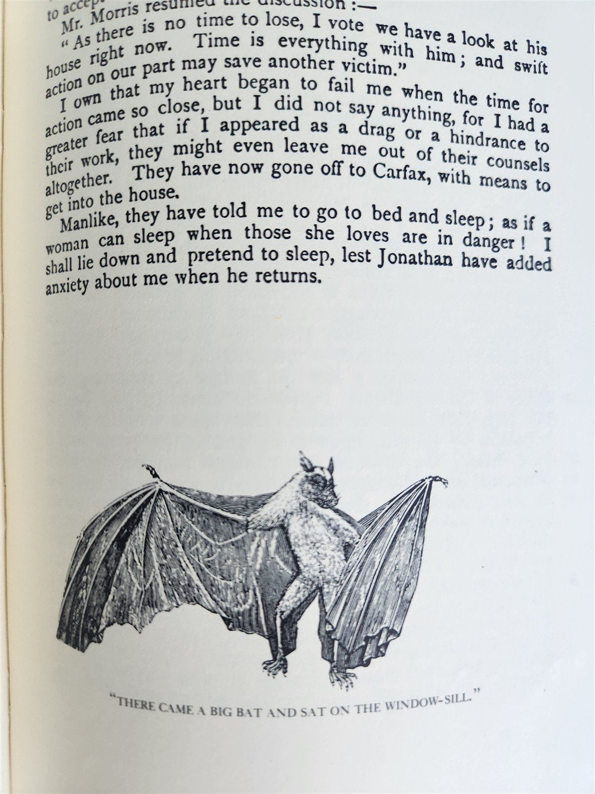 1975 THE ANNOTATED DRACULA by Bram Stoker VINTAGE illustrated folio