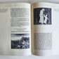 1975 THE ANNOTATED DRACULA by Bram Stoker VINTAGE illustrated folio