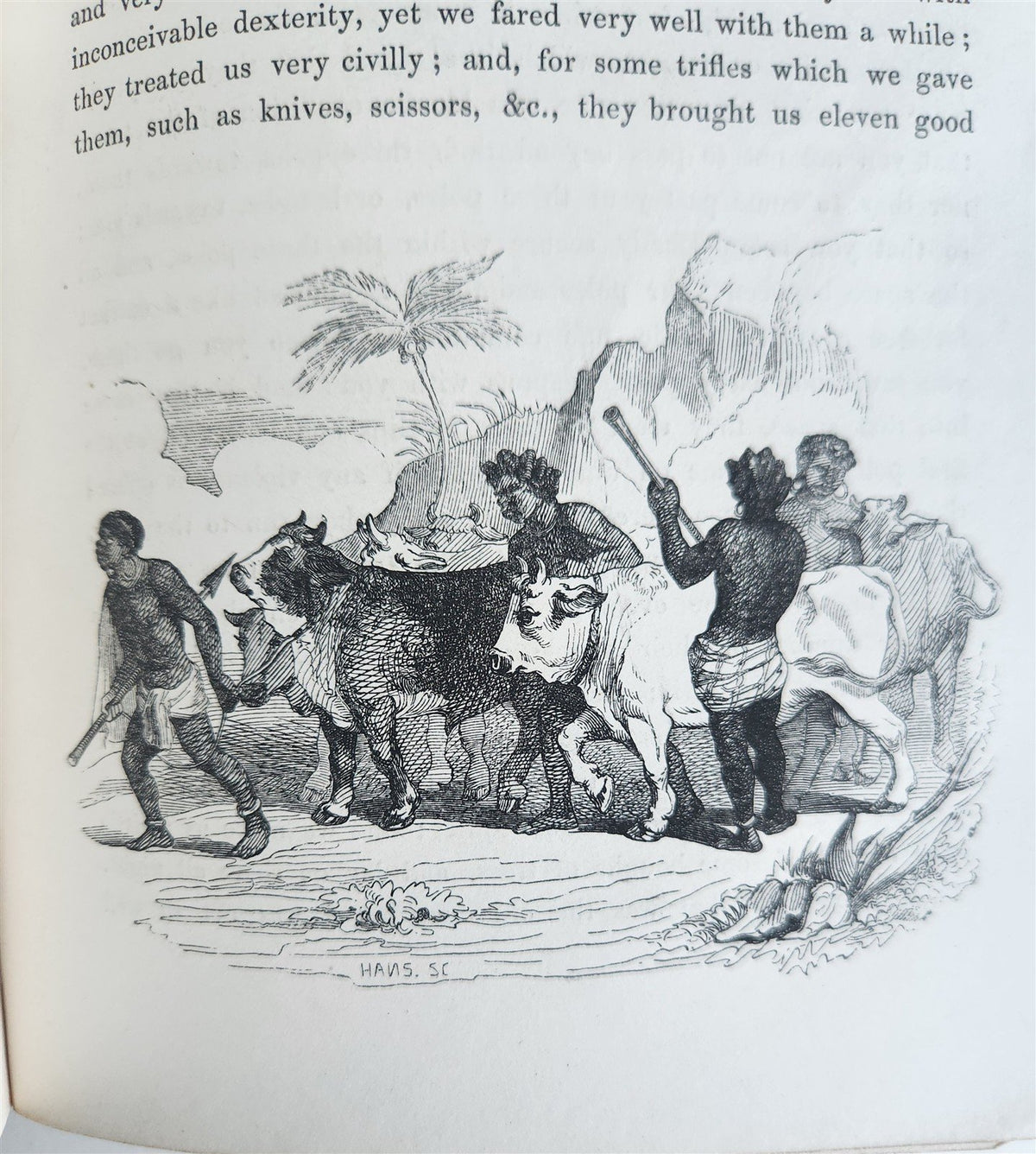 1844 LIFE AND ADVENTURES OF ROBINSON CRUSOE by DANIEL DEFOE antique ILLUSTRATED