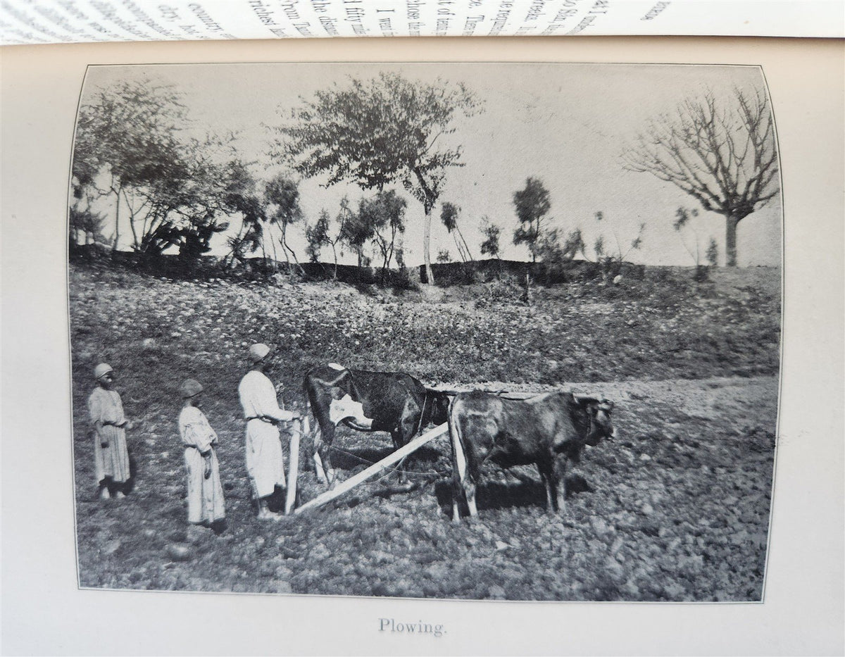 1908 EGYPT AND ITS BETRAYAL ILLUSTRATED antique in ENGLISH