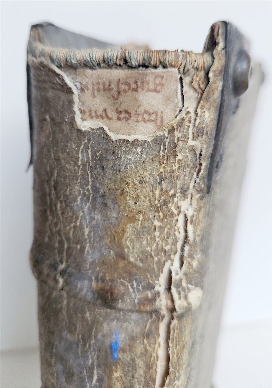 1559 BIBLE COMMENTARIES in GERMAN by Veit Dietrich ANTIQUE pigskin bound FOLIO