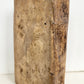 1584 CICERO Sententiarum illustrium apophthegmatum VELLUM BOUND antique