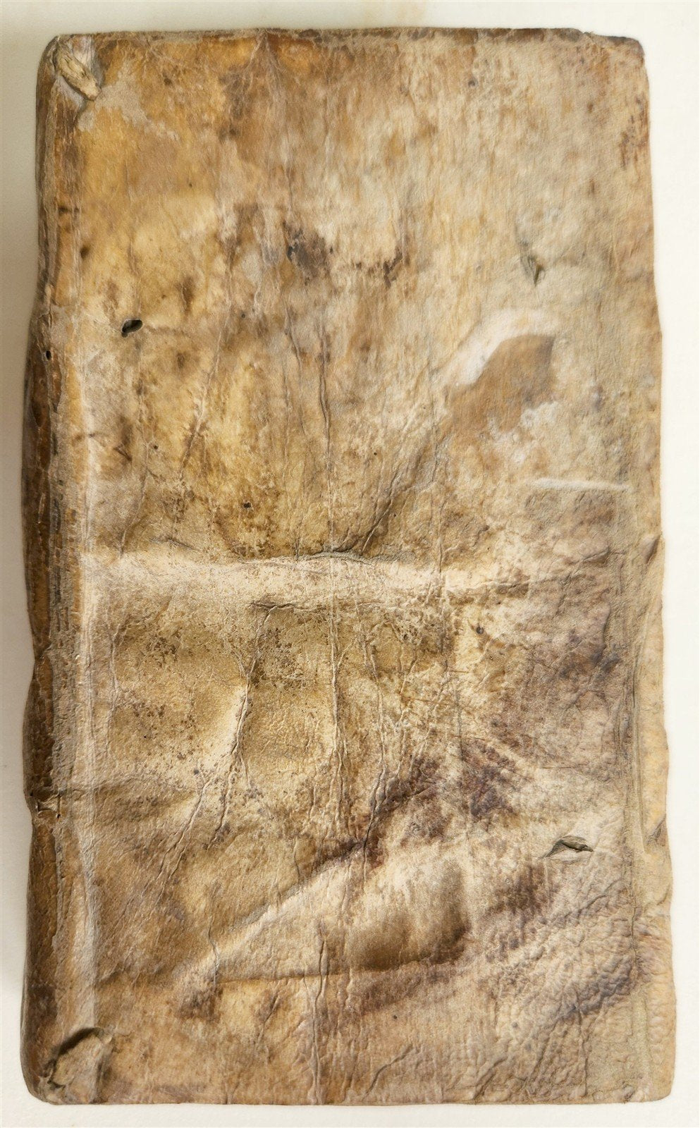 1584 CICERO Sententiarum illustrium apophthegmatum VELLUM BOUND antique