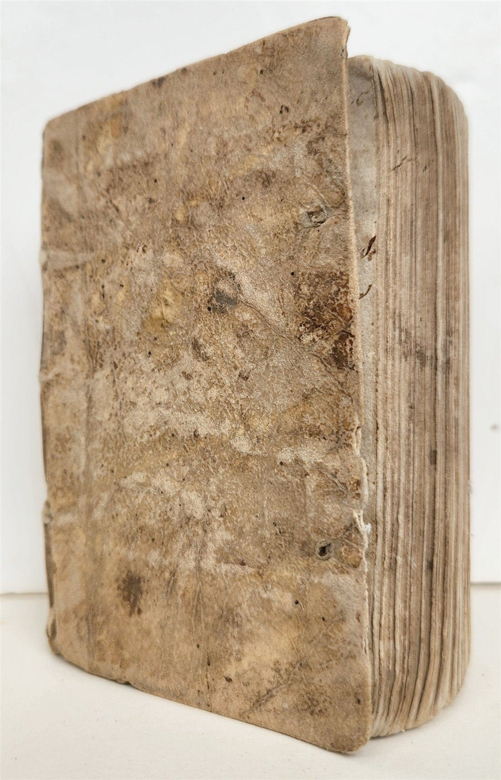 1548 BIBLE in LATIN New Testament VELLUM BOUND antique RARE POCKET EDITION