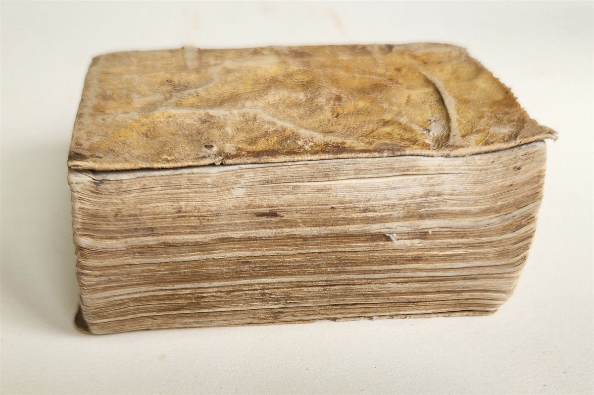 1548 BIBLE in LATIN New Testament VELLUM BOUND antique RARE POCKET EDITION