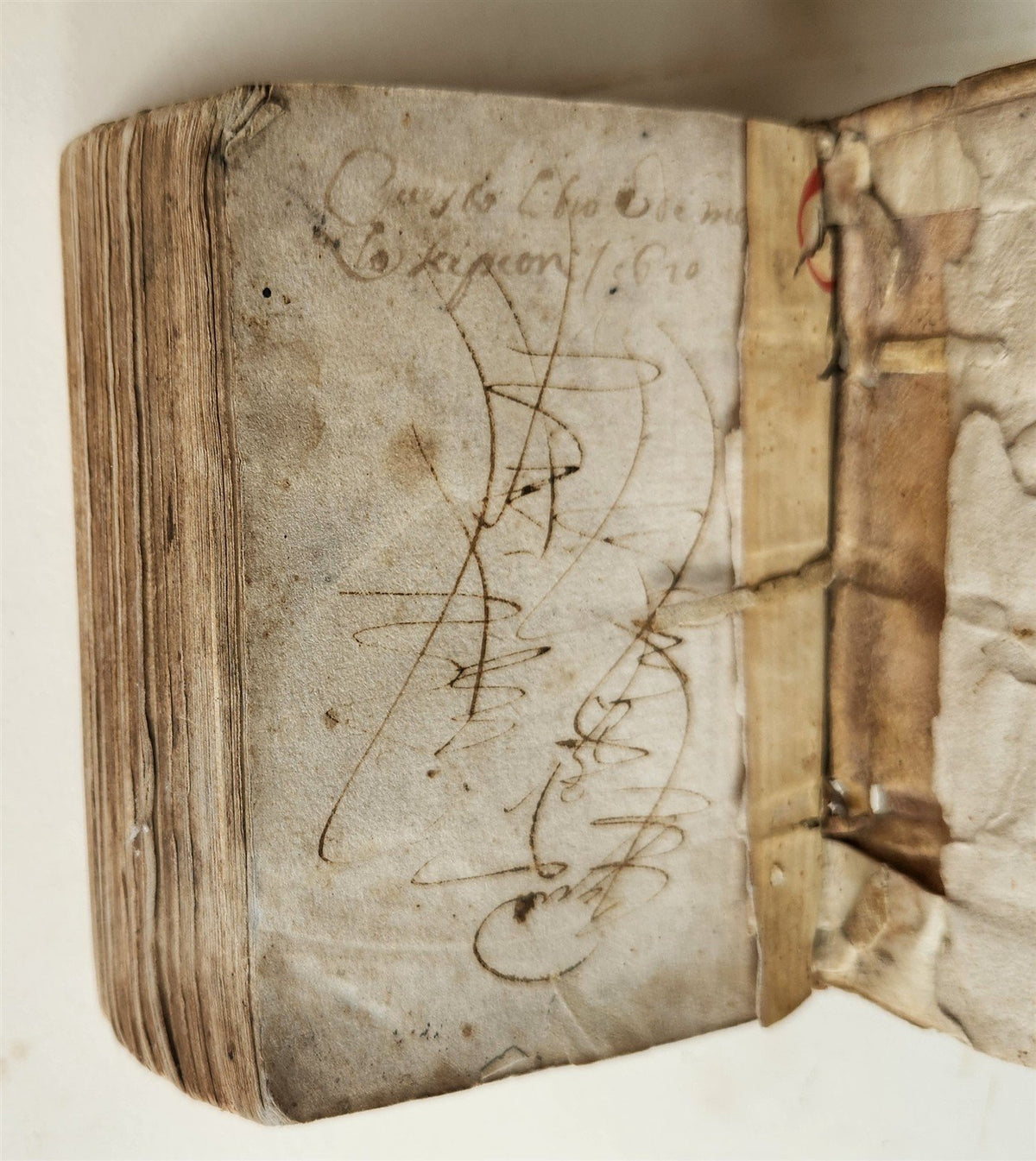 1548 BIBLE in LATIN New Testament VELLUM BOUND antique RARE POCKET EDITION