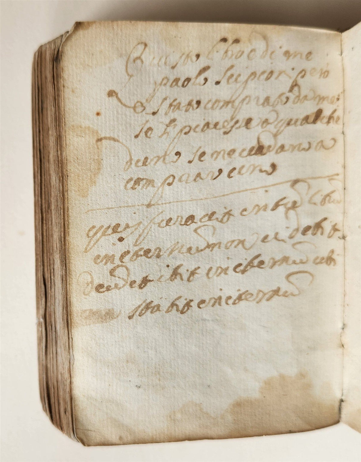 1548 BIBLE in LATIN New Testament VELLUM BOUND antique RARE POCKET EDITION