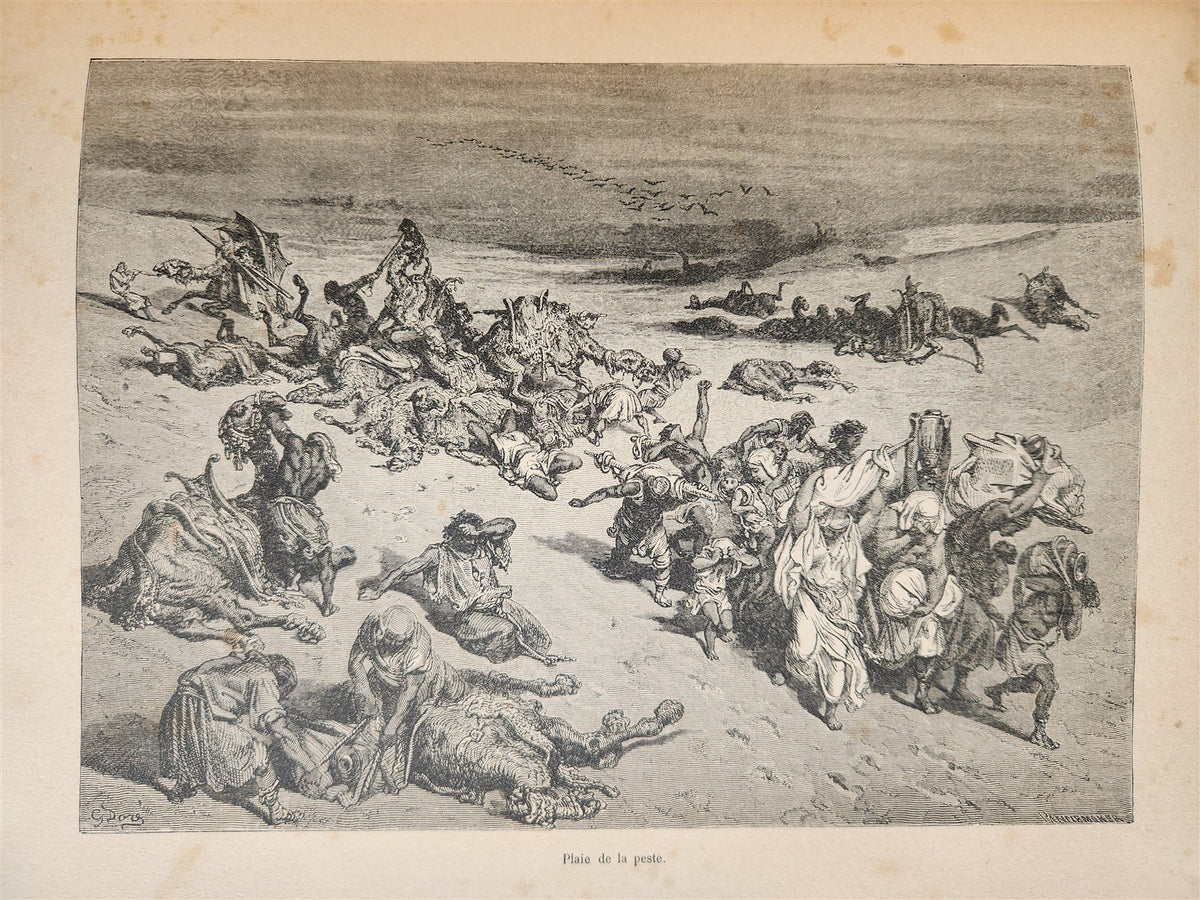 1903 BIBLE HISTORY in FRENCHGUSTAVE DORE ILLUSTRATED antique L'Epopee Biblique