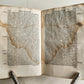 1566 ALDINE PRESS Letters of Saint Jerome antique 16th CENTURY Paolo Manuzio
