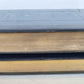 1869 BIBLE in ENGLISH 2 VOLUMES antique ILLUSTRATED NEW TESTAMENT
