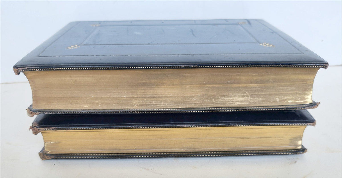 1869 BIBLE in ENGLISH 2 VOLUMES antique ILLUSTRATED NEW TESTAMENT