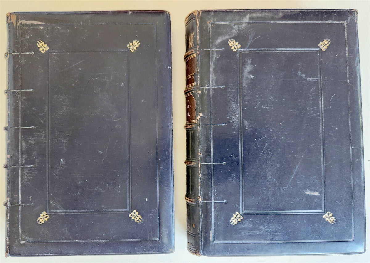 1869 BIBLE in ENGLISH 2 VOLUMES antique ILLUSTRATED NEW TESTAMENT