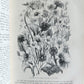 1869 BIBLE in ENGLISH 2 VOLUMES antique ILLUSTRATED NEW TESTAMENT