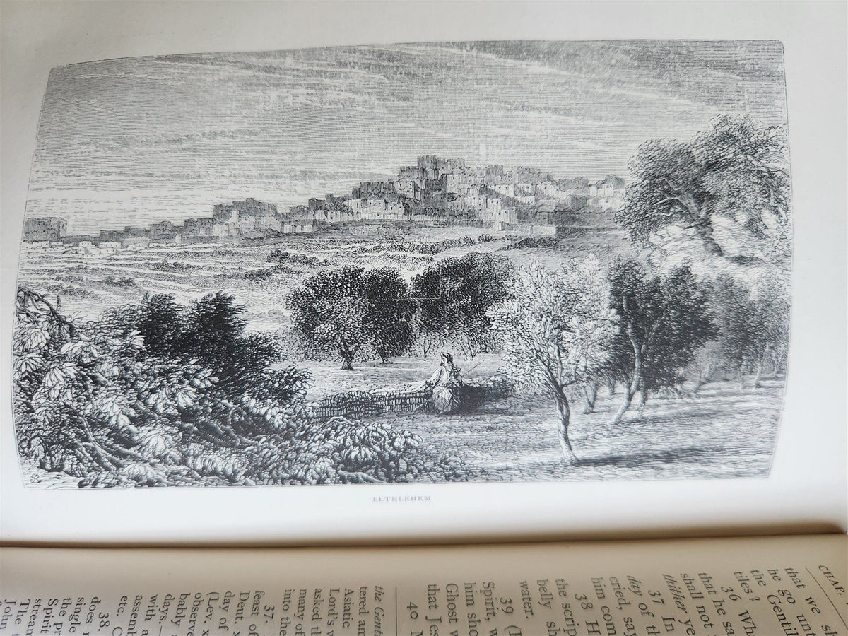 1869 BIBLE in ENGLISH 2 VOLUMES antique ILLUSTRATED NEW TESTAMENT