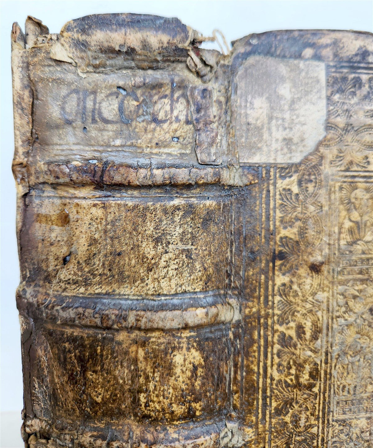 1567 BIBLE CONCORDANCE antique 16th CENTURY BLIND TOOLED PIGSKING BOUND FOLIO
