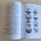 RUSSIAN HISTORY & ART 7 ILLUSTRATED BOOKS LOT