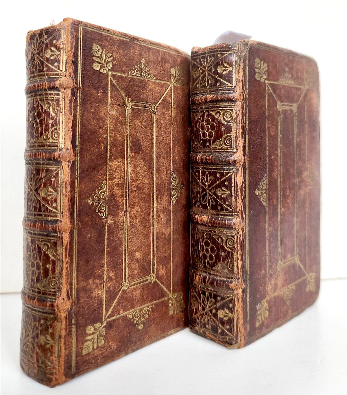 1658 BIBLE in ENGLISH OLD and NEW TESTAMENTS antique 2 VOLUMES