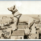 CROSBY SD SCENE w/ DOG ANTIQUE 1916 PHOTOMONTAGE REAL PHOTO POSTCARD RPPC