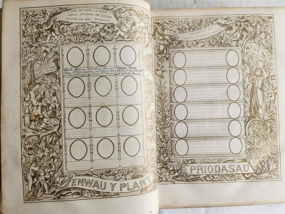 1703 BIBLE in WELSH OLD & NEW TESTAMENT antique ILLUSTRATED FOLIO