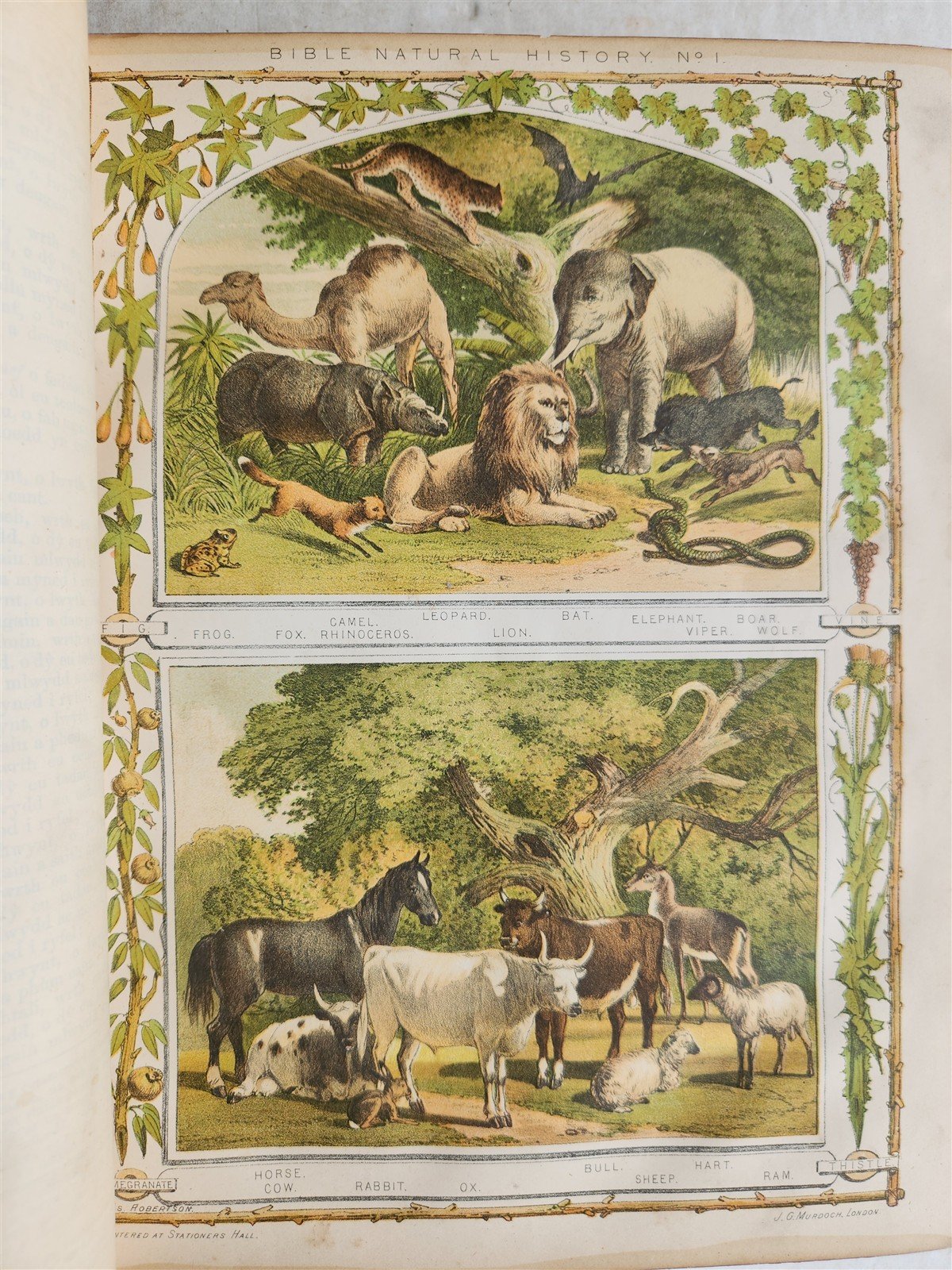 1703 BIBLE in WELSH OLD & NEW TESTAMENT antique ILLUSTRATED FOLIO