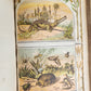1703 BIBLE in WELSH OLD & NEW TESTAMENT antique ILLUSTRATED FOLIO