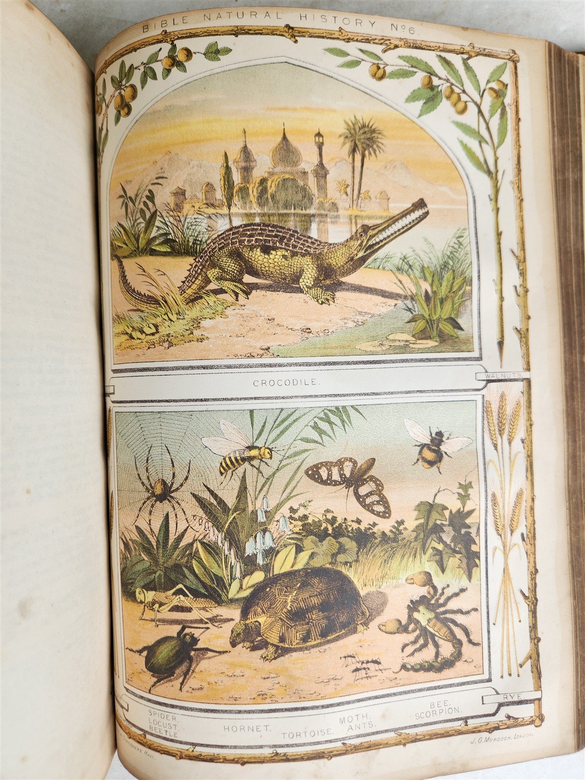 1703 BIBLE in WELSH OLD & NEW TESTAMENT antique ILLUSTRATED FOLIO