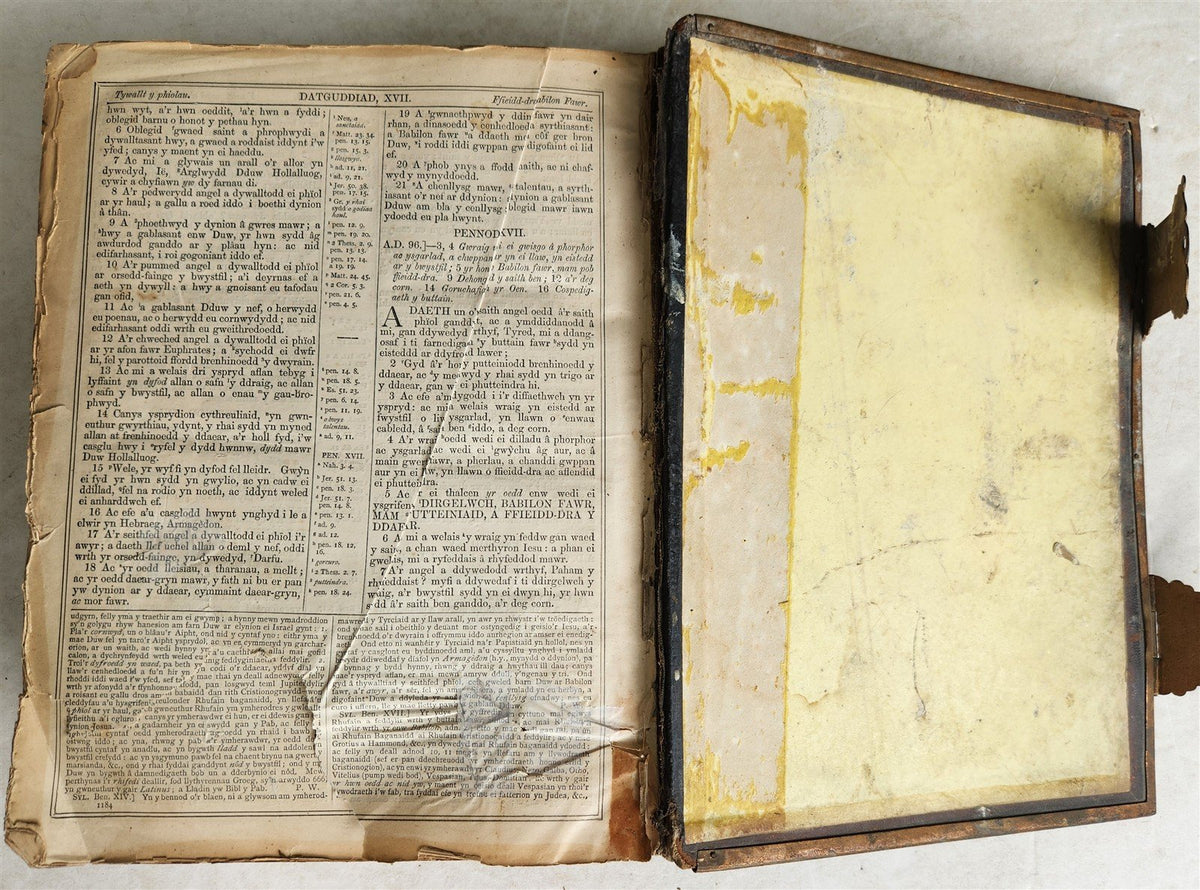 1703 BIBLE in WELSH OLD & NEW TESTAMENT antique ILLUSTRATED FOLIO