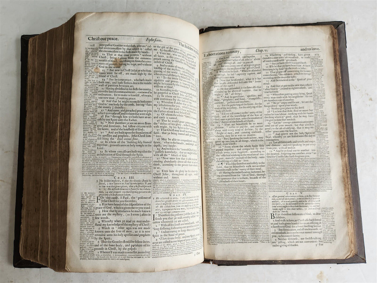 1683 BIBLE in ENGLISH antique ORIGINAL BINDING rare FOLIO King James version