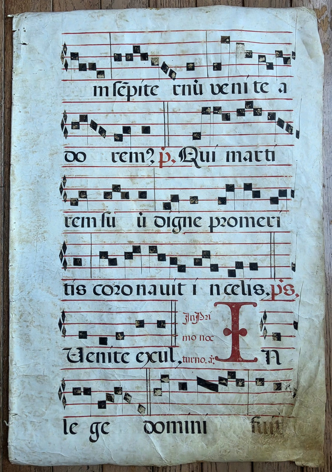 16th cent. ANTIPHONAL MUSIC CHART VELLUM MANUSCRIPT antique LITURGICAL in LATIN