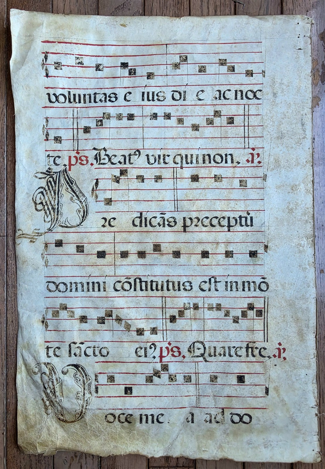 16th cent. ANTIPHONAL MUSIC CHART VELLUM MANUSCRIPT antique LITURGICAL in LATIN