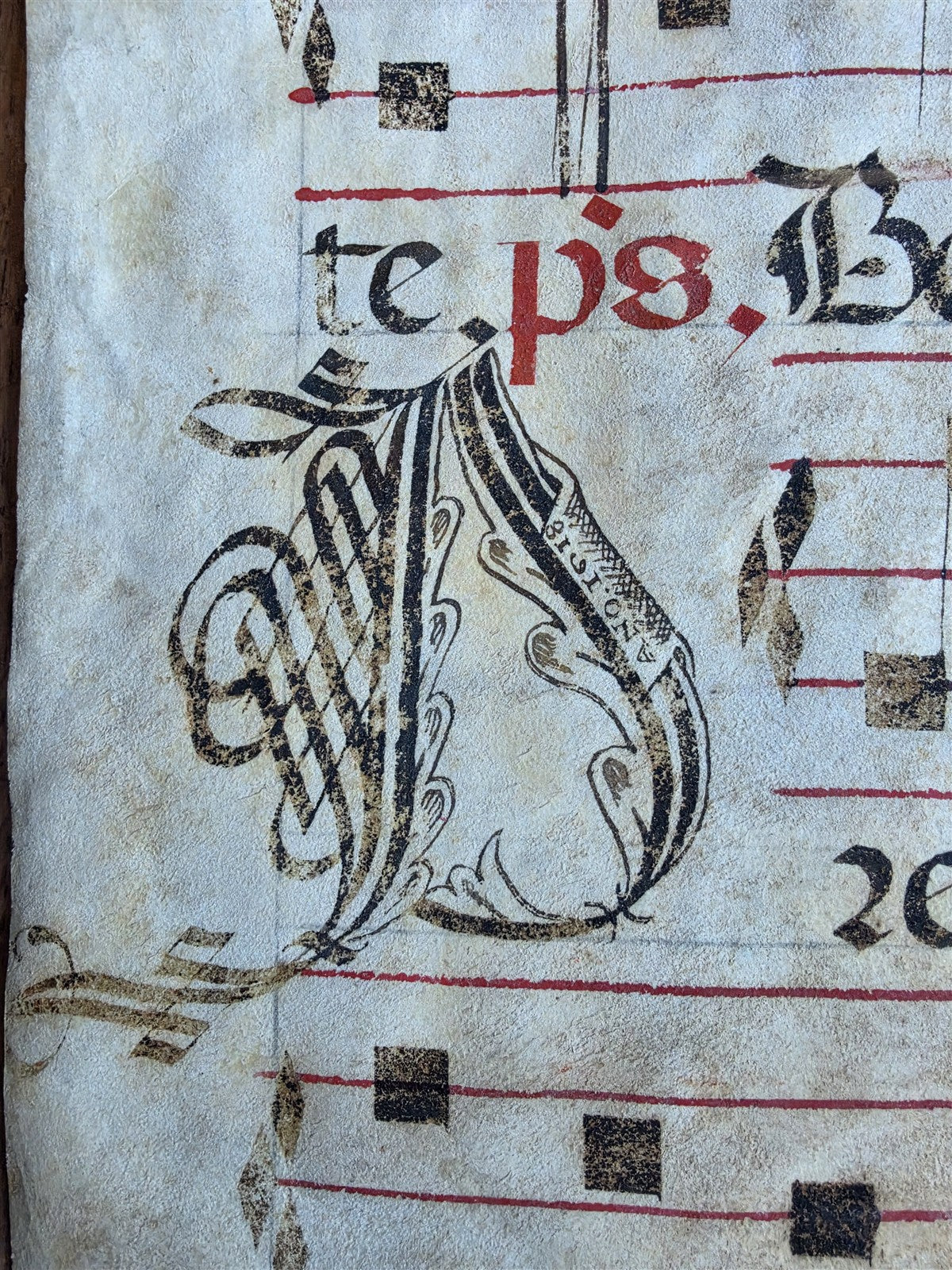 16th cent. ANTIPHONAL MUSIC CHART VELLUM MANUSCRIPT antique LITURGICAL in LATIN