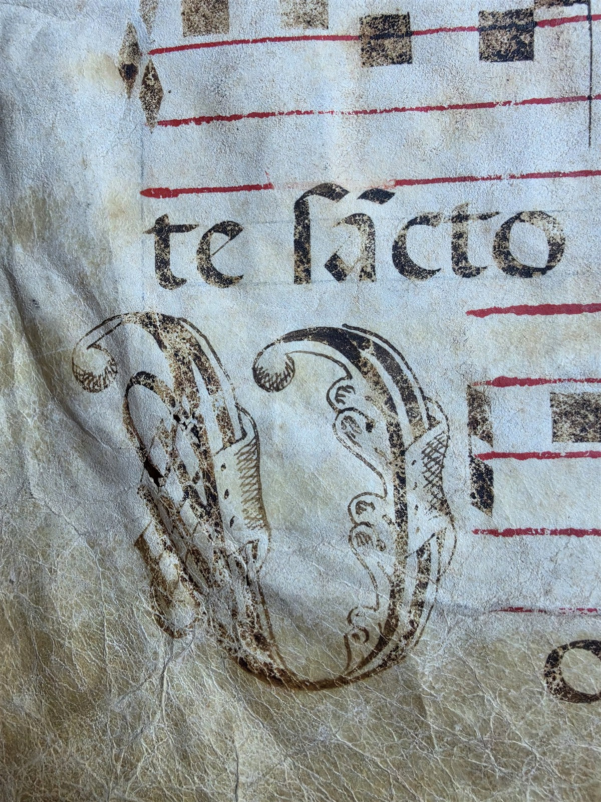 16th cent. ANTIPHONAL MUSIC CHART VELLUM MANUSCRIPT antique LITURGICAL in LATIN
