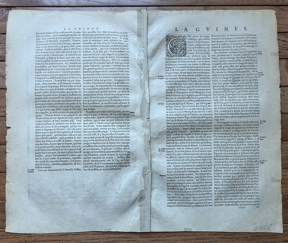 1630s AFRICA NEW DESCRIPTION OF GUINEA antique MAP by JODOCUS HONDIUS