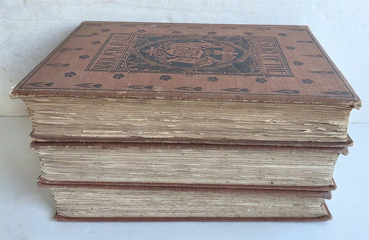 1896 HISTORY of CITY of NEW YORK ITS ORIGIN RISE & PROGRESS antique 3 VOLUMES