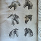 1850 ESSAYS of PHYSIOGNOMY by JOHN CASPAR LAVATER antique ILLUSTRATED